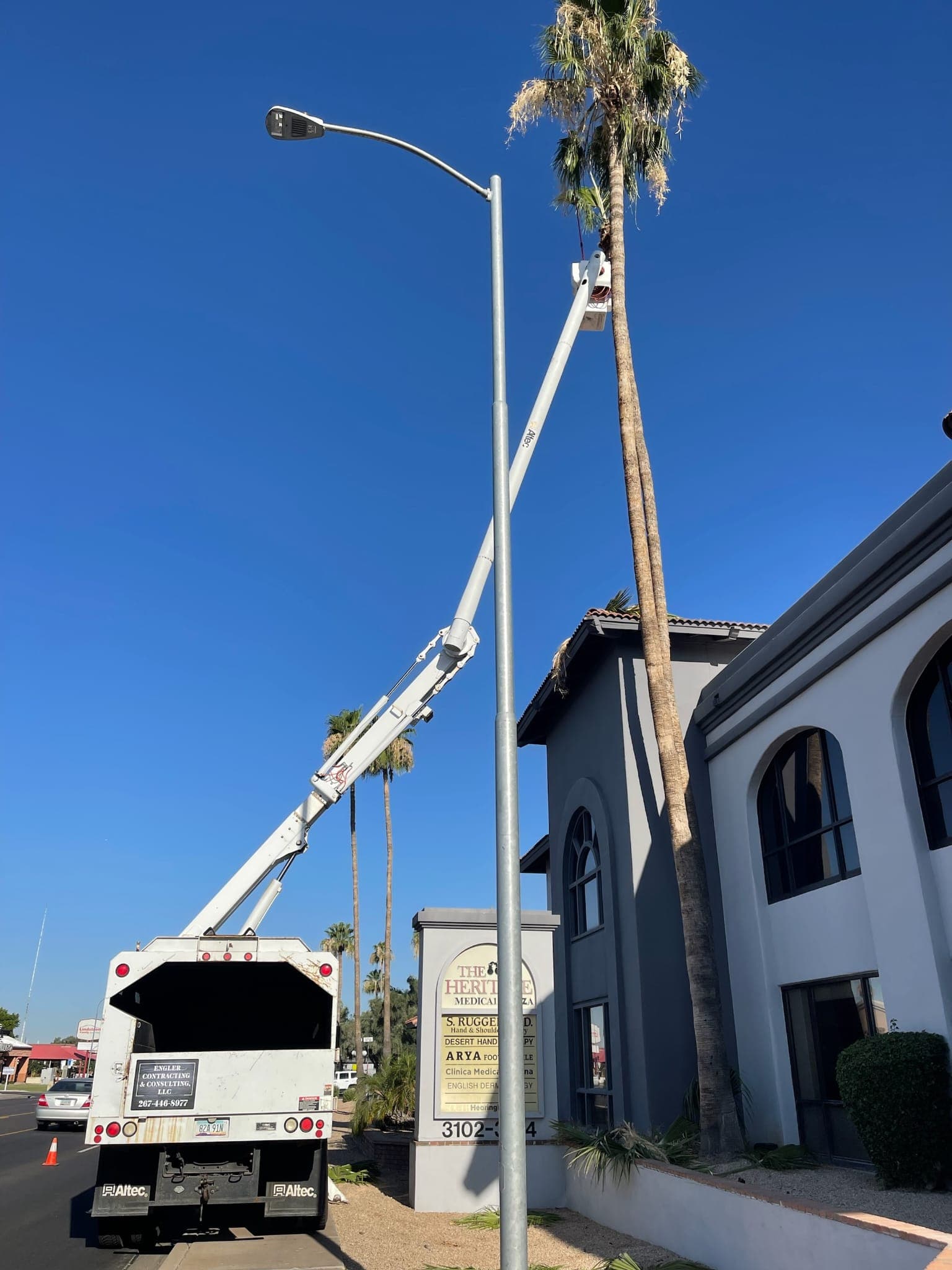 Tree trimming alongside a busy road lined with palm trees
